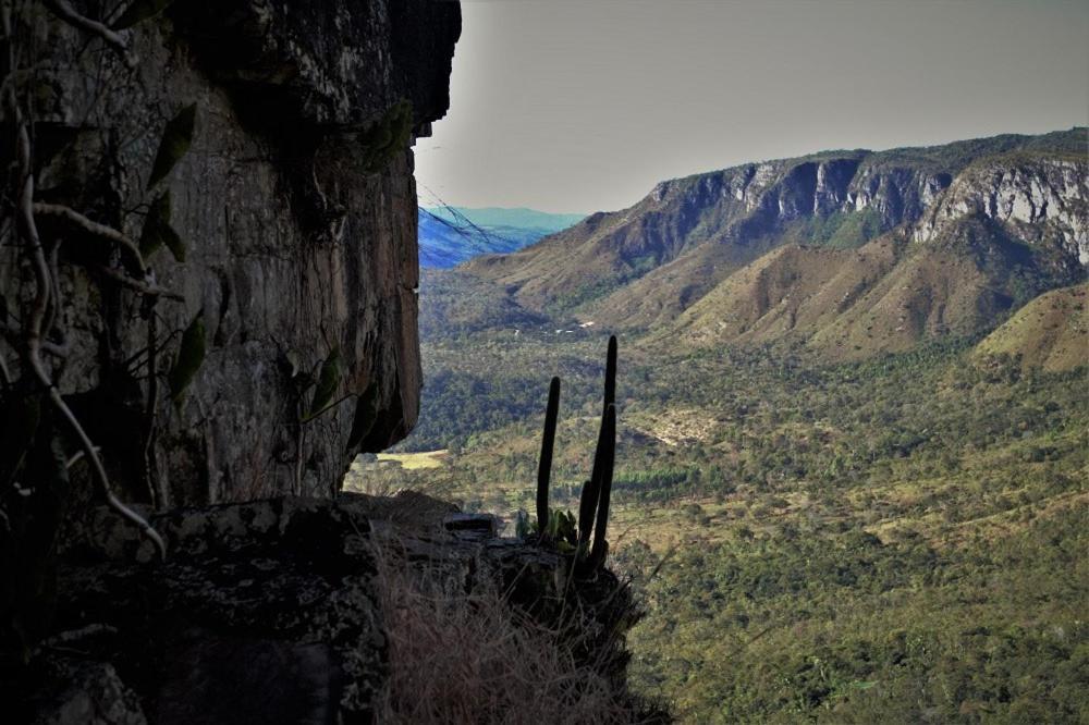 Mariri Jungle Lodge Alto Paraíso de Goiás Eksteriør bilde