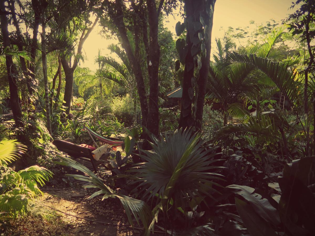 Mariri Jungle Lodge Alto Paraíso de Goiás Eksteriør bilde