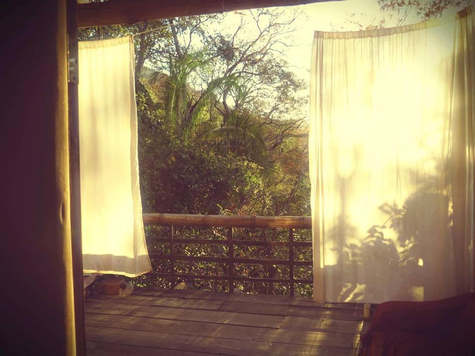 Mariri Jungle Lodge Alto Paraíso de Goiás Eksteriør bilde